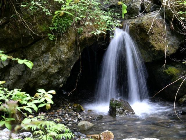 深读|乐平大同湖“开门红”背后的“最强助攻”