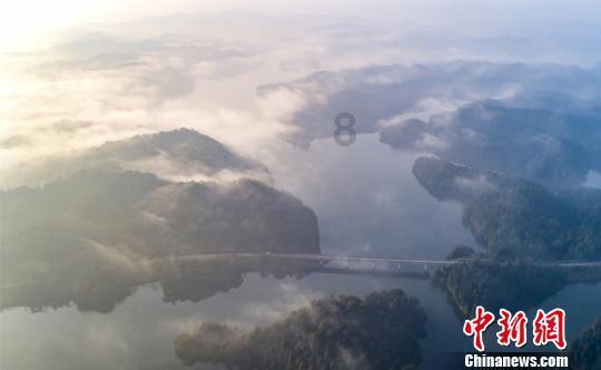 动物帮帮忙保卫家园